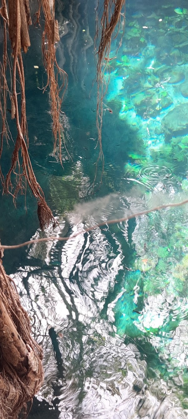 Cenote X'batun 3