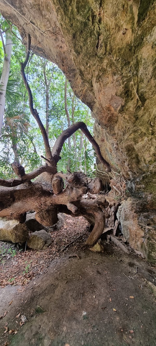 Cenote X'batun 2