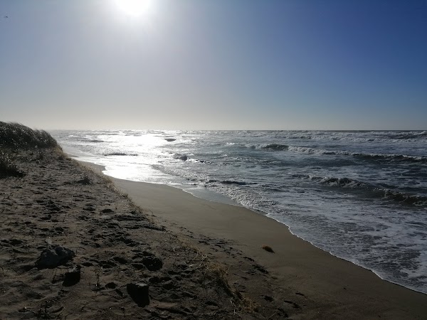 Cold Hawaii 1