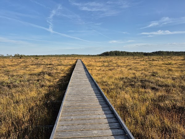 The Great Bog National Park 5