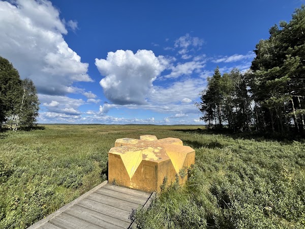 The Great Bog National Park 3