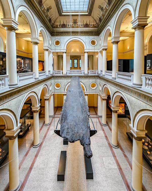 The National Museum of Bosnia and Herzegovina 4