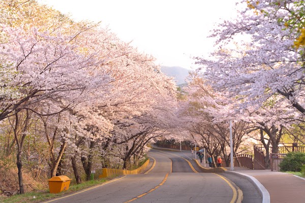 Songjeong-dong