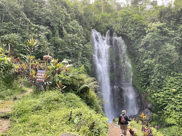 BALI 2