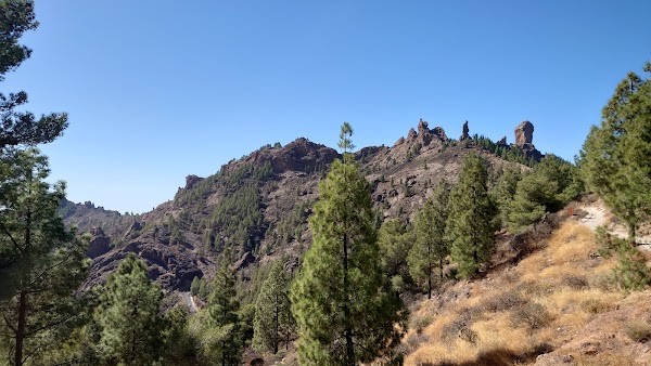 Pico de las Nieves 4