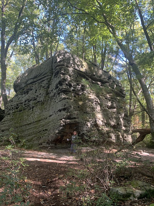 Beartown Rocks 1