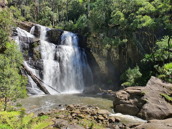 Stevensons Falls