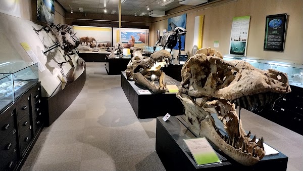 The Hokkaido University Museum 5