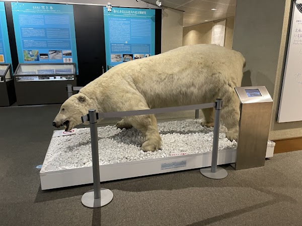 The Hokkaido University Museum 3