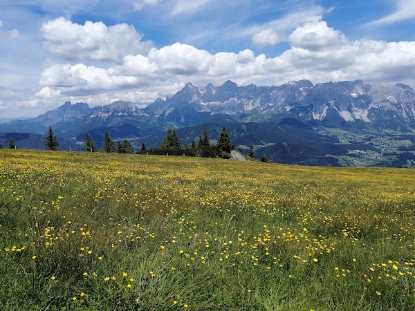 Reiter Alm