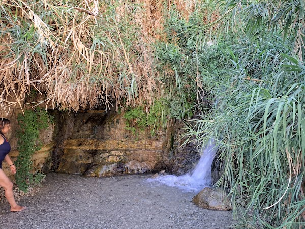 Ein Gedi 5