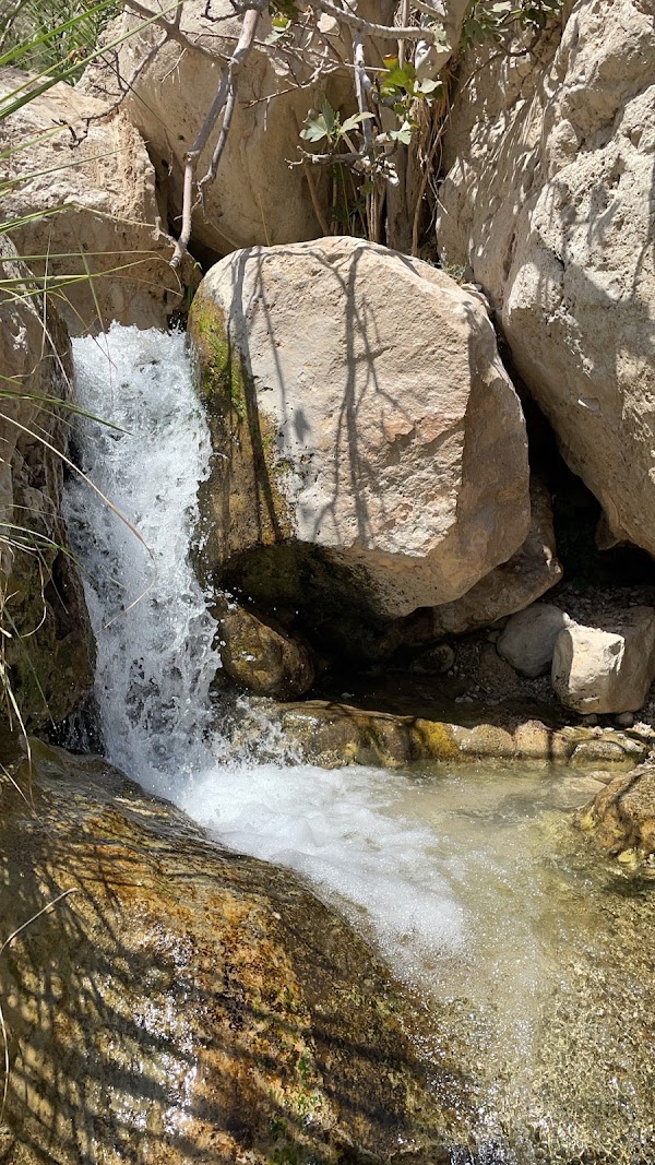 Ein Gedi 4