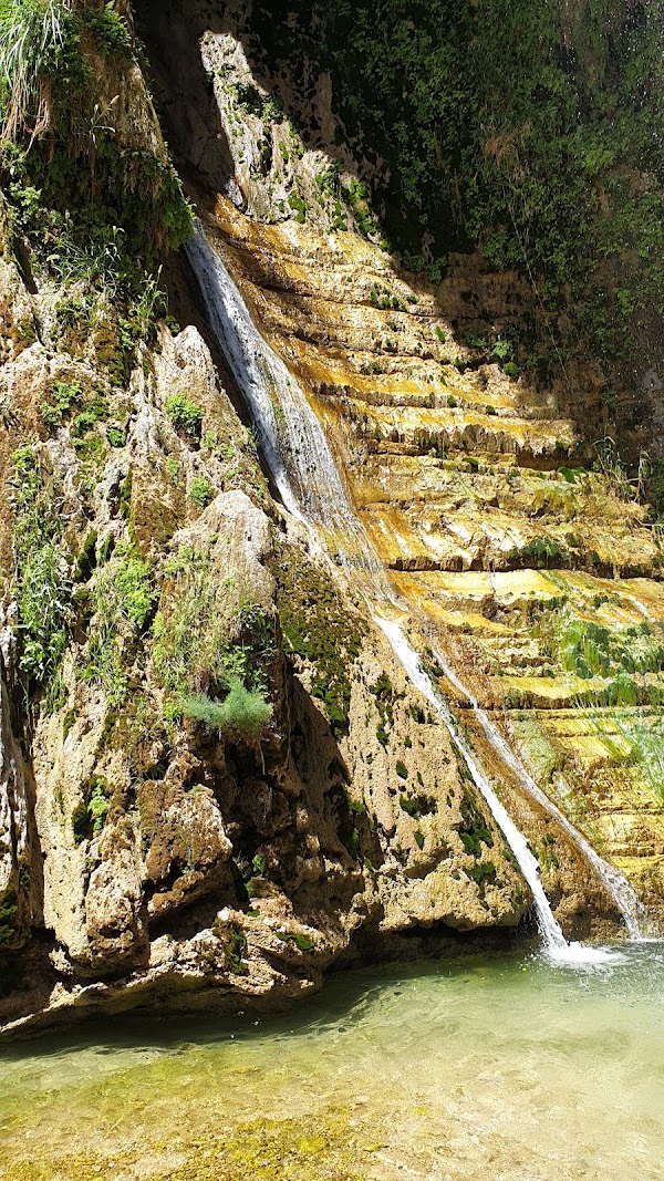 Ein Gedi 2