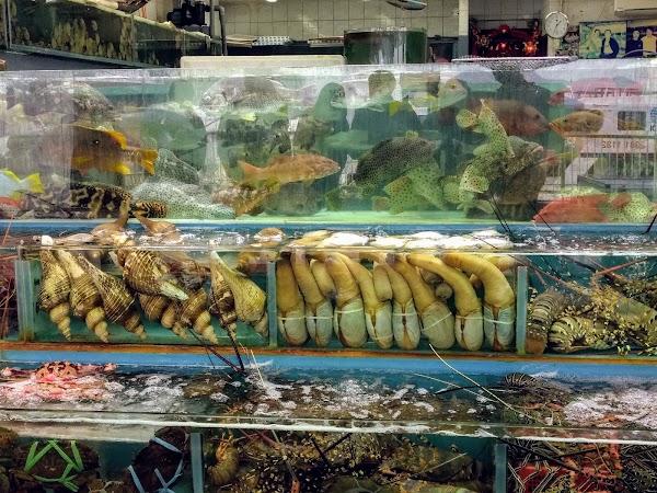 Sai Kung Seafood Street 4