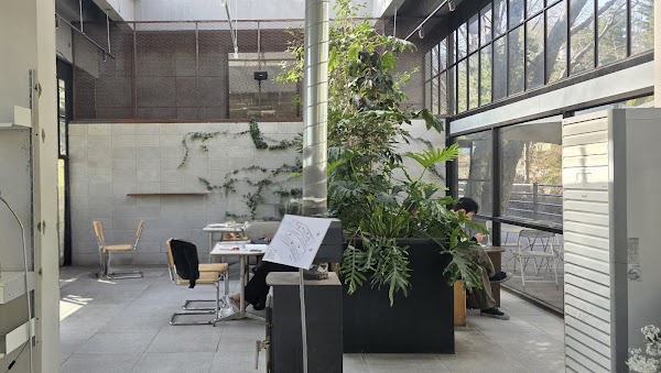 Cafe Sanare 4