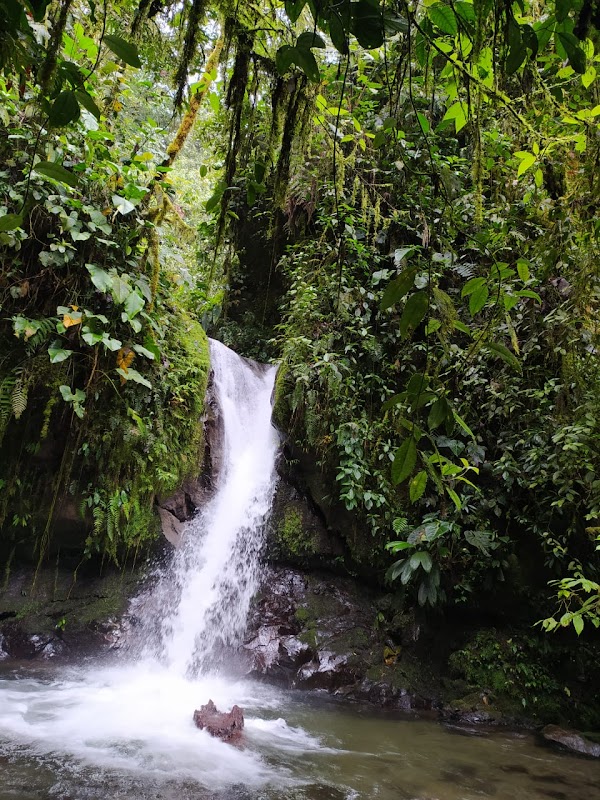Mindo Valley