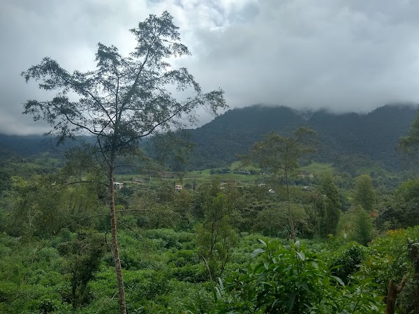 Mindo Valley 5