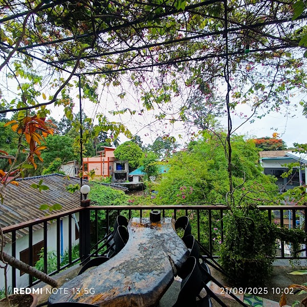 Taco Shack Diving Hostel & Restaurant