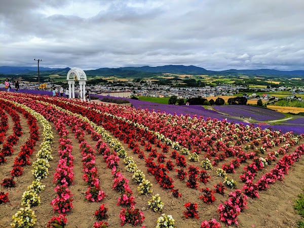 Hinode Park 5