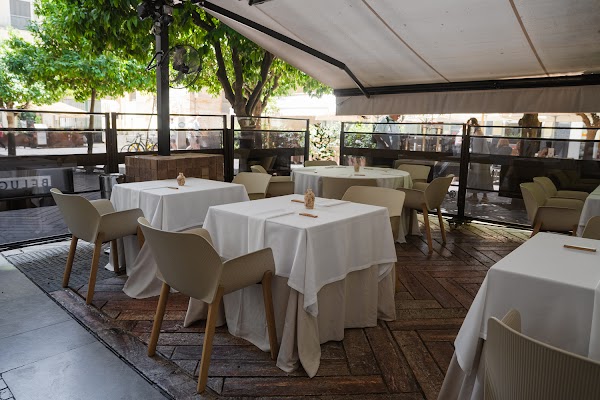 Beluga - Mediterranean Restaurant