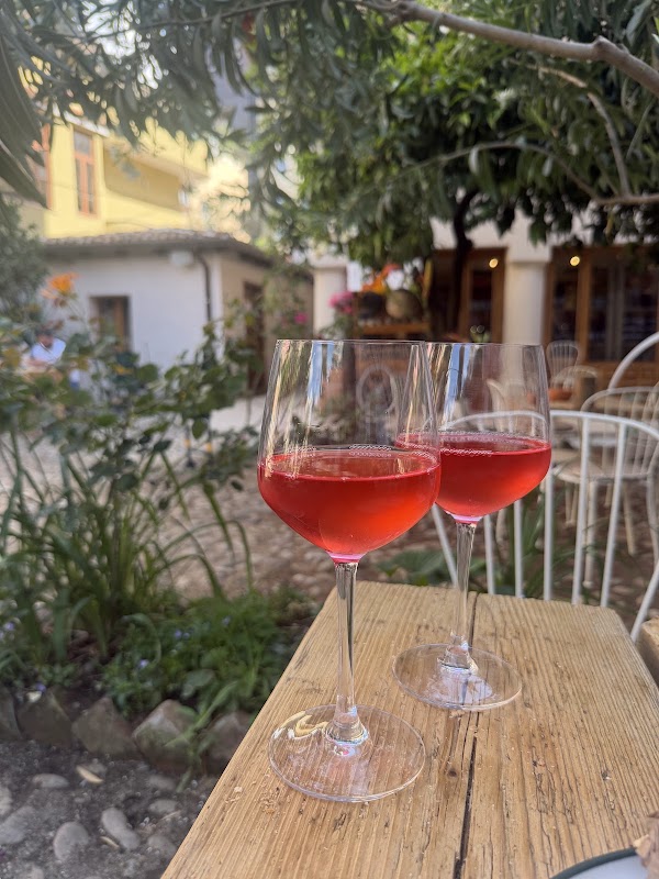 Mrizi i zanave Wine garden (panini e vino) 1