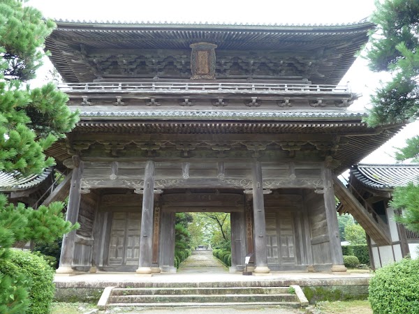 Hagi 1