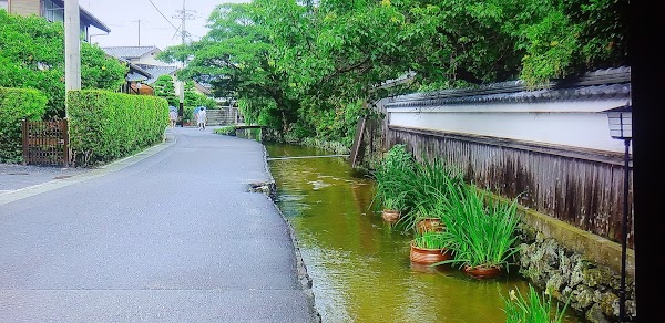Hagi 2