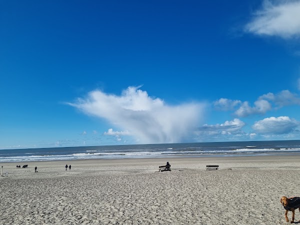 Henne Strand 1