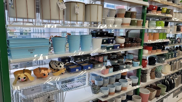 Daiso (Myeongdong Station Branch) 4