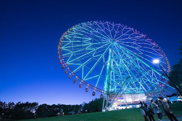 Kasai Rinkai Park 5