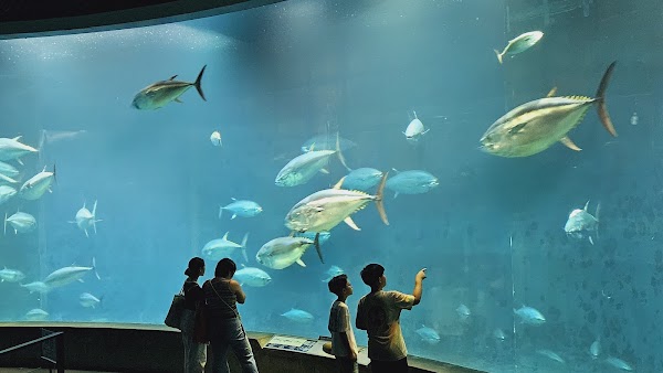 Kasai Rinkai Park 3
