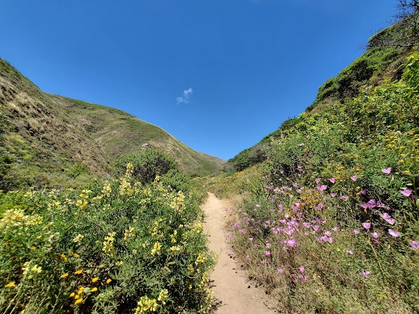 Big Sur must visit 1