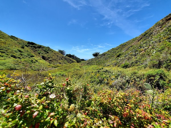 Soberanes Canyon Trail 3