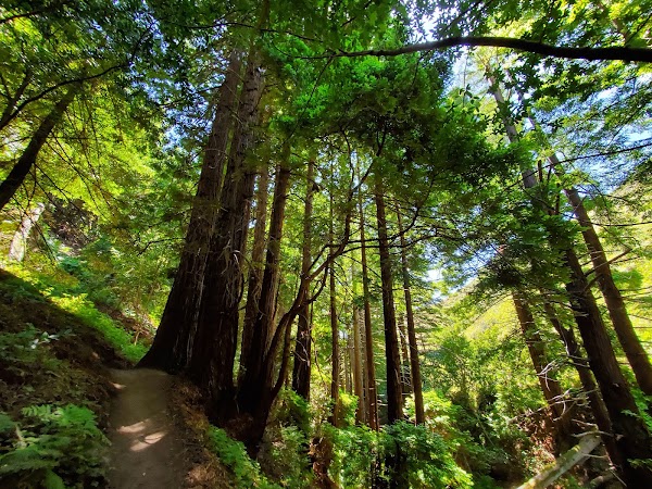 Soberanes Canyon Trail 2