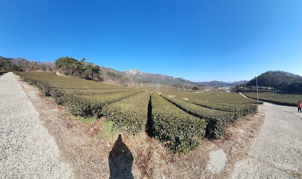 Baekundong Byeolseo Garden 2