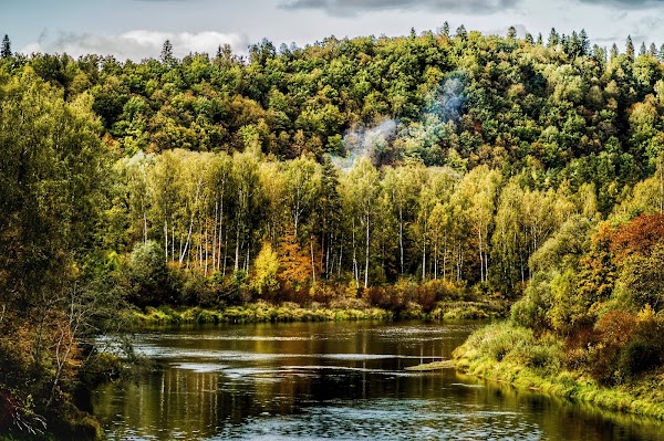 Gauja