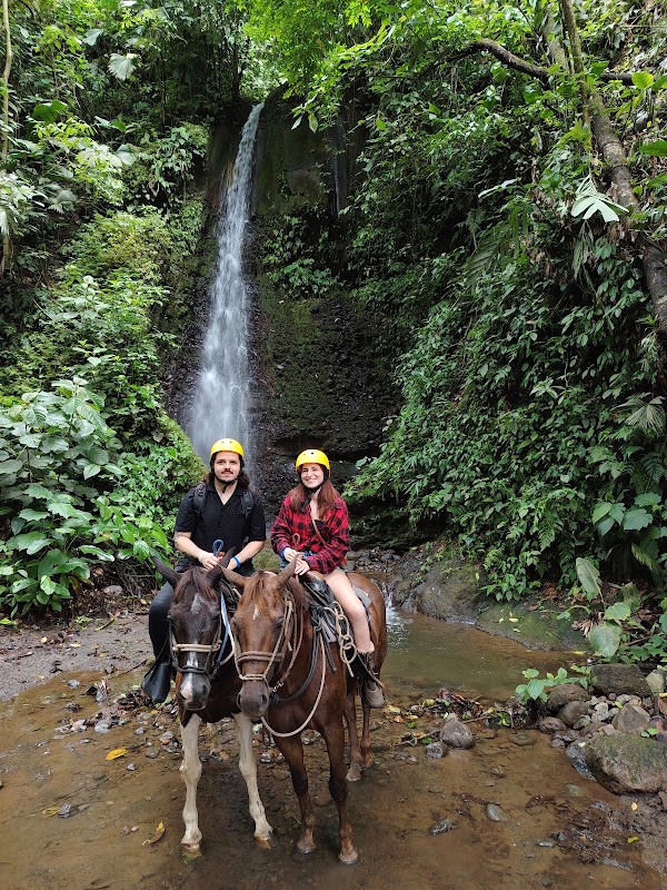 Go Adventure Arenal Park 3