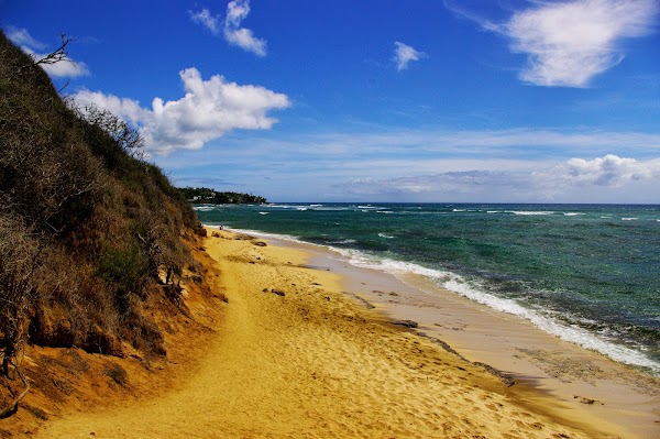 Diamond Head Beach Park 2
