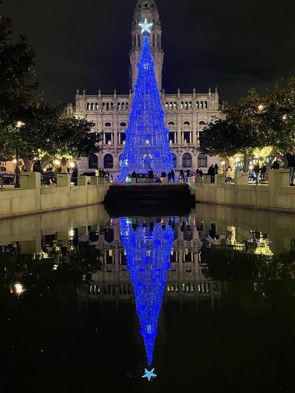 Porto City Hall 5
