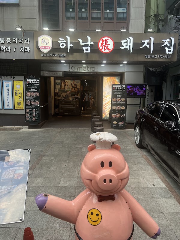 Hanam Pig 1