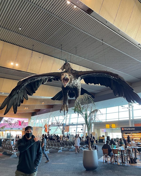 Wellington International Airport 1