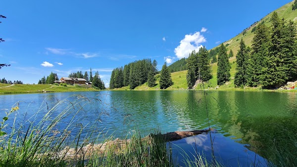 Suisse 62