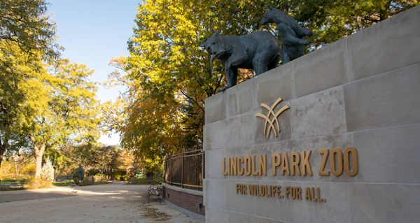 Lincoln Park Zoo 1