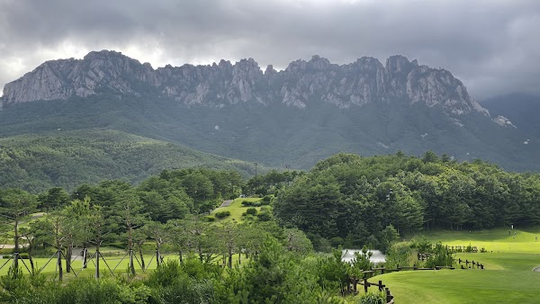 Korea 2026 🌸✈️ 22