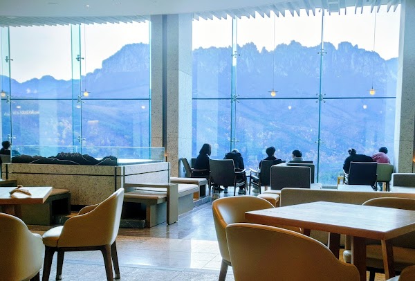 Sono Felice del Pino 3