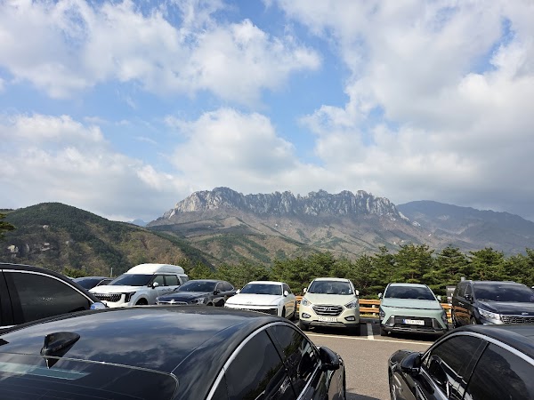 Sono Felice del Pino 2