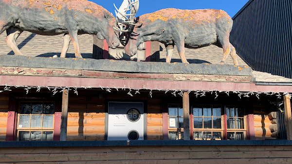Woodcutter's Blanket - Bar & Brewery 3