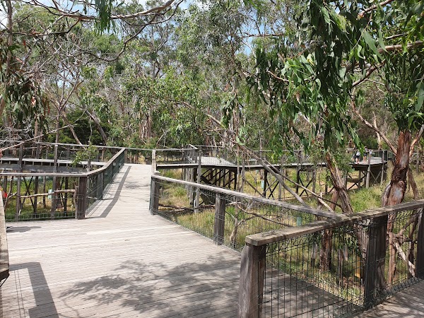 Koala Conservation Reserve 4