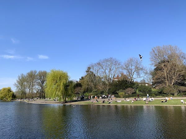 The Regent's Park 5