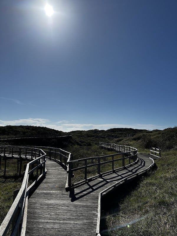 Sentier Découverte De La Dune Parabolique